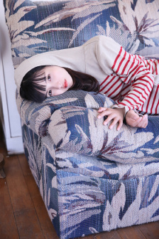 电车蓝衣女种子